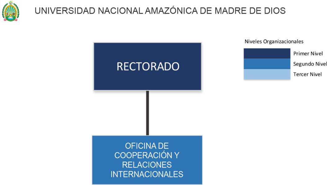 Estructura Orgánica - Oficina de Cooperación y Relaciones Internacionales